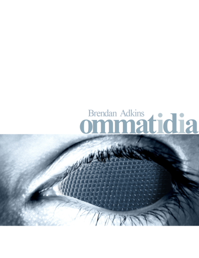 Brendan Adkins:  Ommatidia