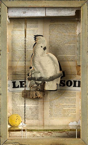from his Cockatoo Series ~ an homage to Juan Gris by J Cornell