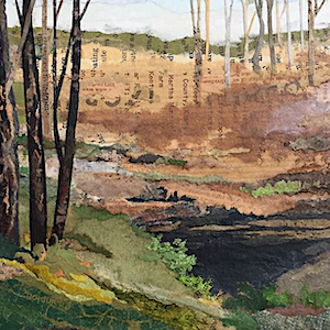 Cave Spring ~ J A Dixon