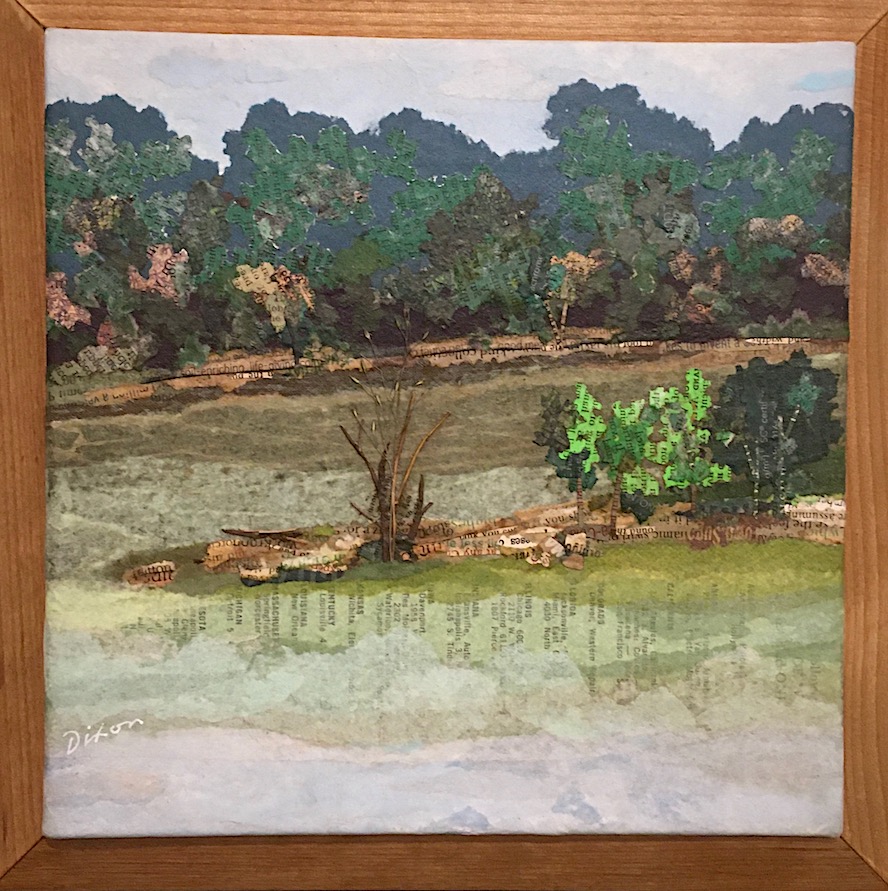 Bluegill Cove ~ collage en plein air by J A Dixon