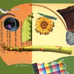 J A Dixon is The Collage Miniaturist