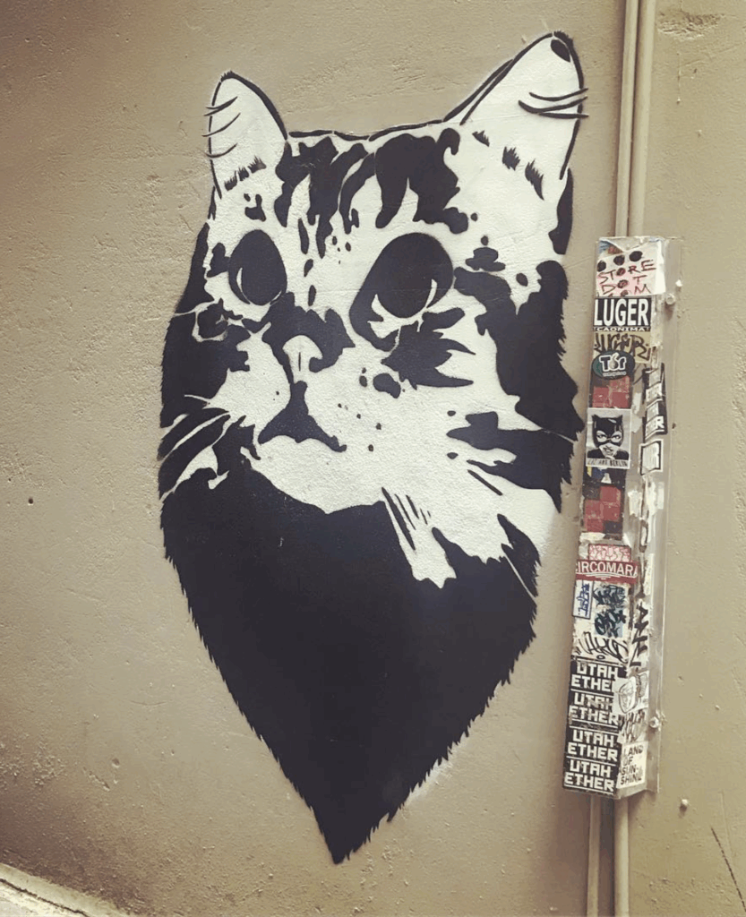 A large paste-up of a surprised cat, next to a utility box covered in sticker graffiti.