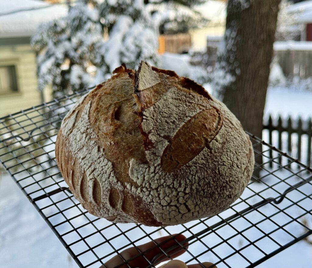 A sourdough boule on a cooling rack, held up against a snowy back yard.