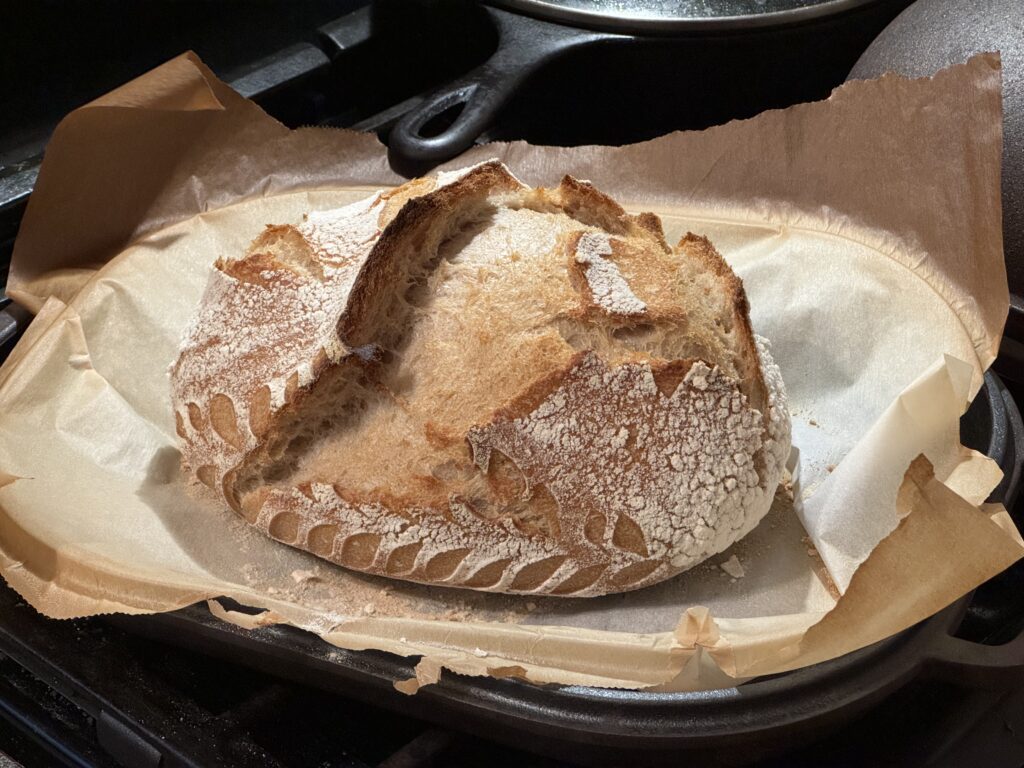 A cracked sourdough boule still sitting on parchment paper in the cast-iron pan.