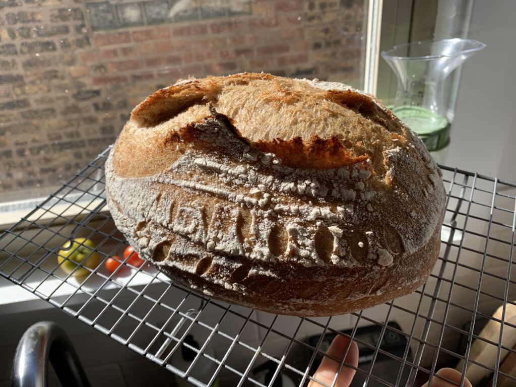 A sourdough boule held up on a cooling rack, dramatically lit from a window.